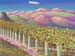 Wither Hills from Vineyard